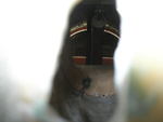 DSCN6566
