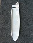 Middle fin rib 1.