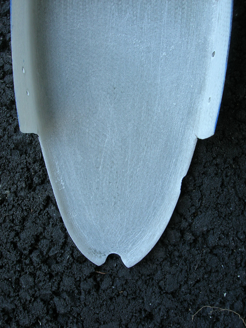 Middle fin rib 3.