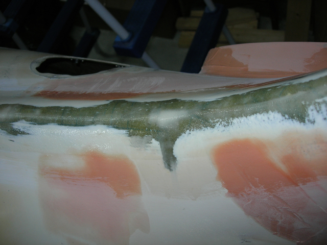 Spine of tail fin repair 1.