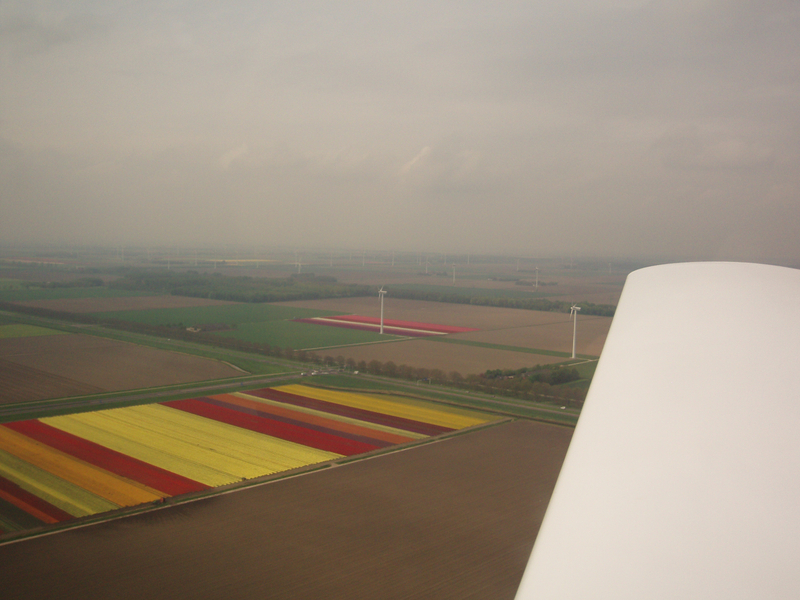 Holland_famous_for_its_flowers