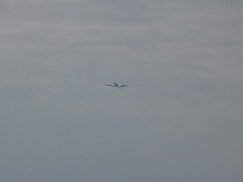 L1010196
